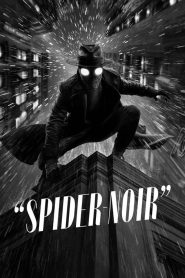 Spider-Noir Edition