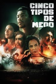 Cinco Tipos de Medo